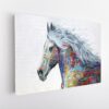 colorful horse stretched canvas