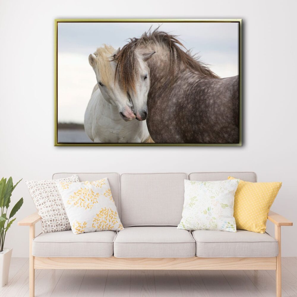 couple horses floating frame canvas