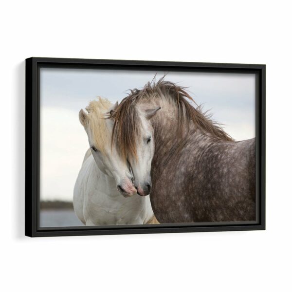 couple horses framed canvas black frame