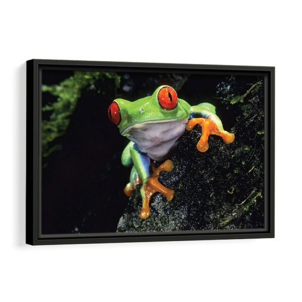 cute frog framed canvas black frame