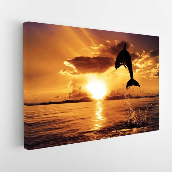 dolphin sunset stretched canvas