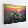 elephant giclee stretched canvas