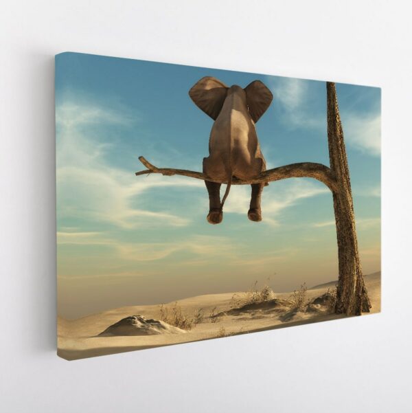 elephant on tree stretched canvas