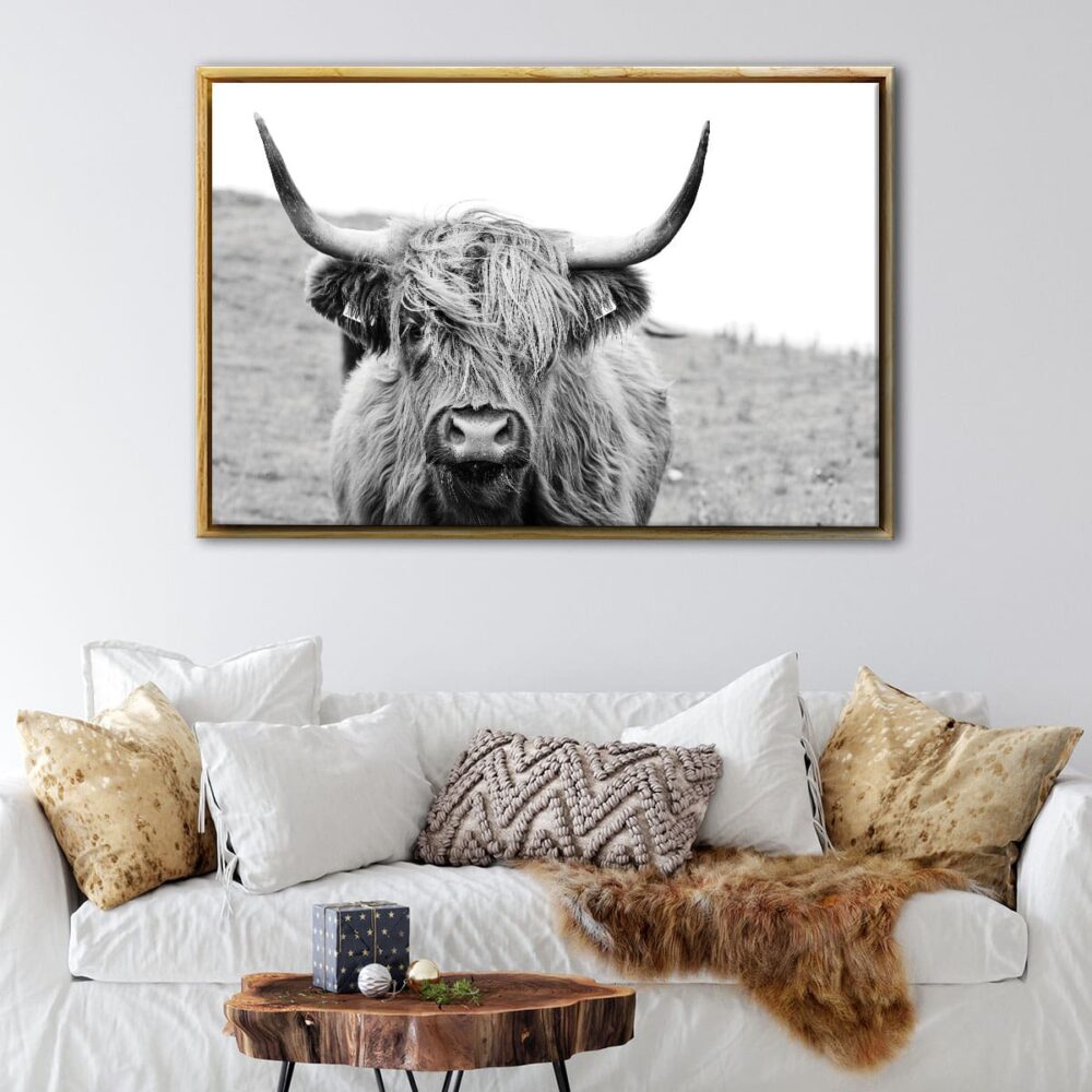 highland cow floating frame canvas