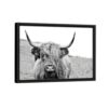 highland cow framed canvas black frame