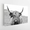 highland cow stretched canvas