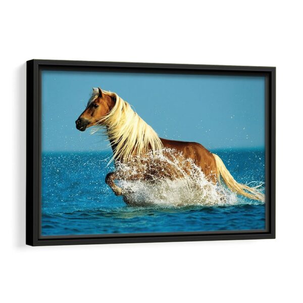 horse on beach framed canvas black frame