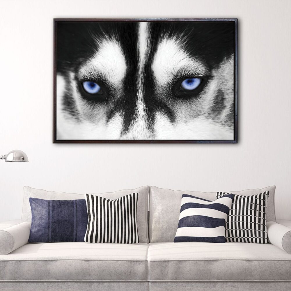 husky eyes floating frame canvas