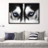 husky eyes floating frame canvas