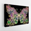 rainbow butterfuly stretched canvas