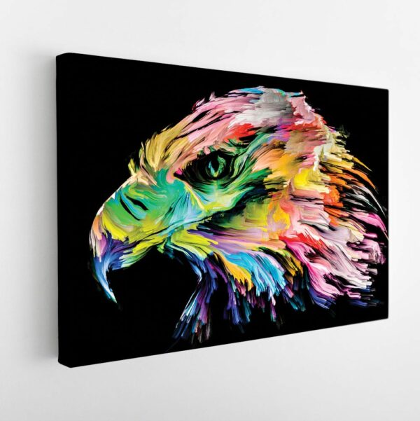 rainbow eagle stretched canvas