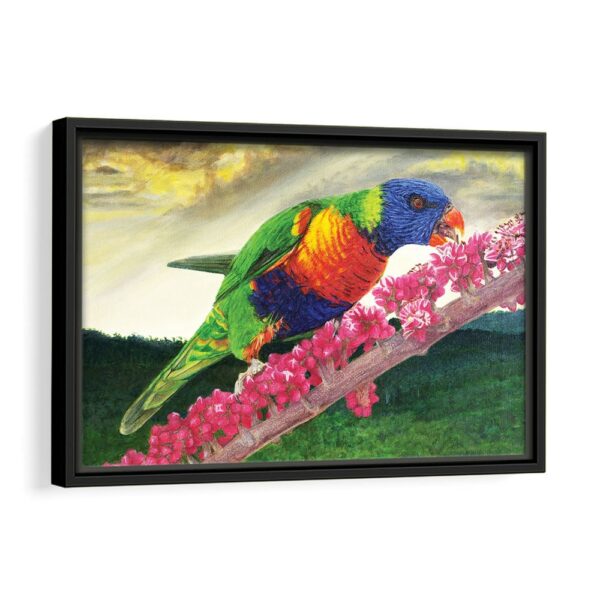 rainbow parrot framed canvas black frame