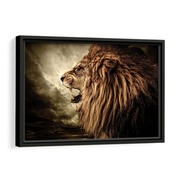 roaring lion fog framed canvas black frame
