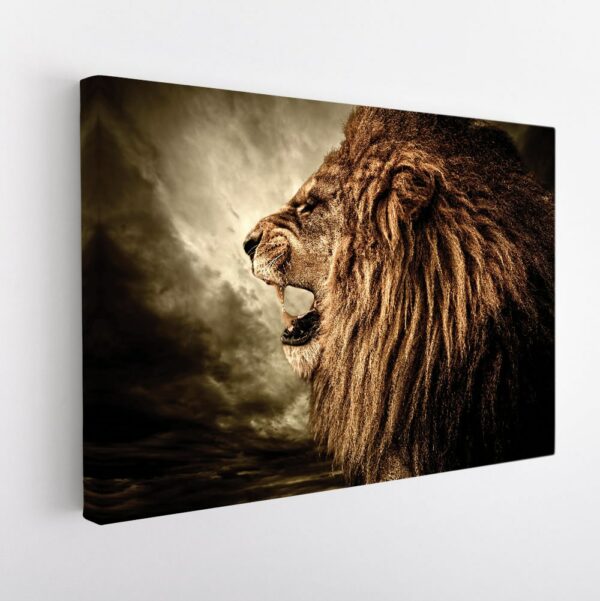 roaring lion fog stretched canvas