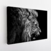 roaring lion stretched canvas