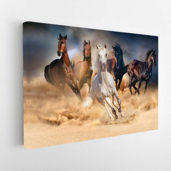 running horses stretched canvas