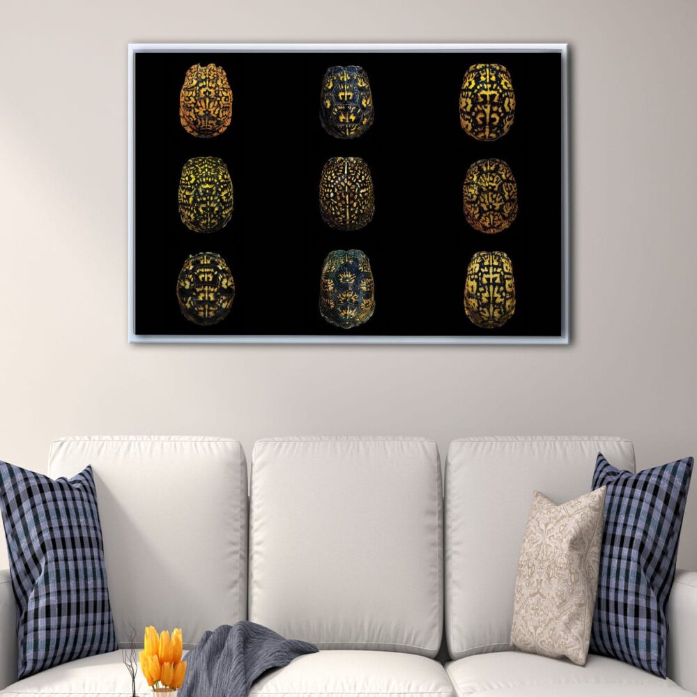 turtles shells floating frame canvas