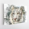 white tiger stretched canvas