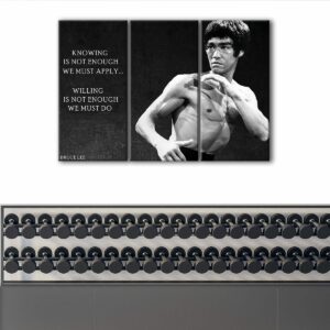 3 panels bruce lee quote canvas art