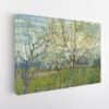 The Pink Orchard stretched canvas