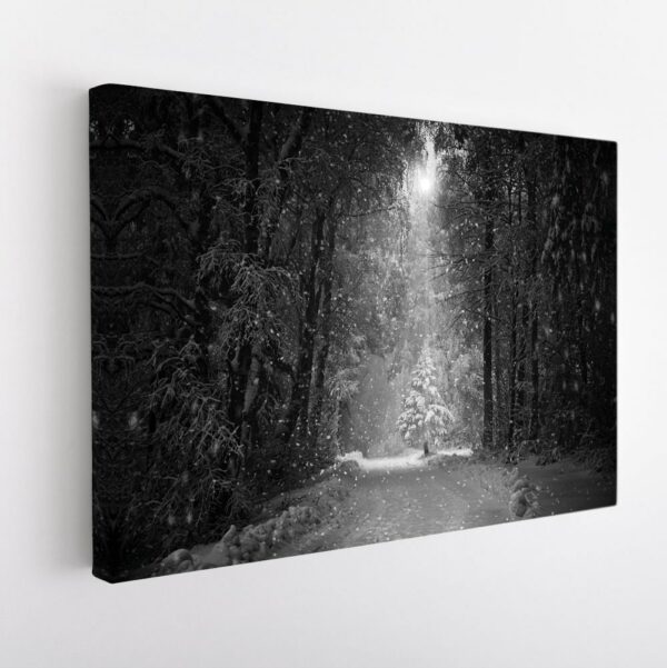 tableau sur toile imprimée forêt en noir et blanc