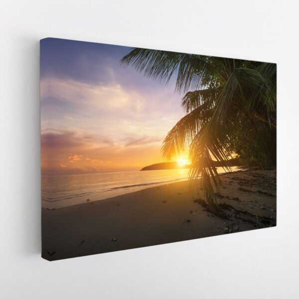 sunset behind palm stretched canvas