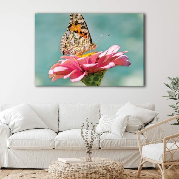 1 panels butterfly on flower canvas art