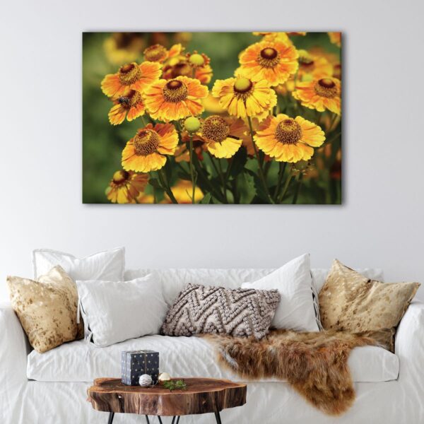 1 panels helenium flowers canvas art