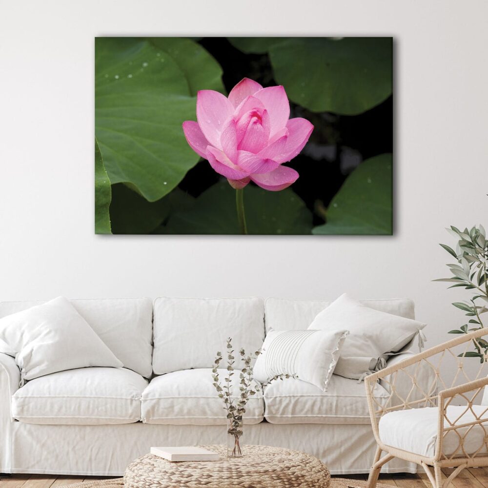 1 panels pink lotus canvas art