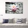 1 panels pink water lily canvas art