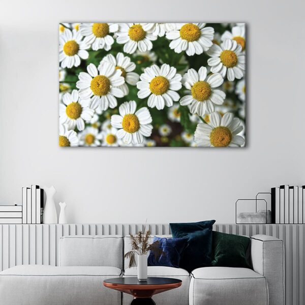 1 panels white daisy flowers canvas art