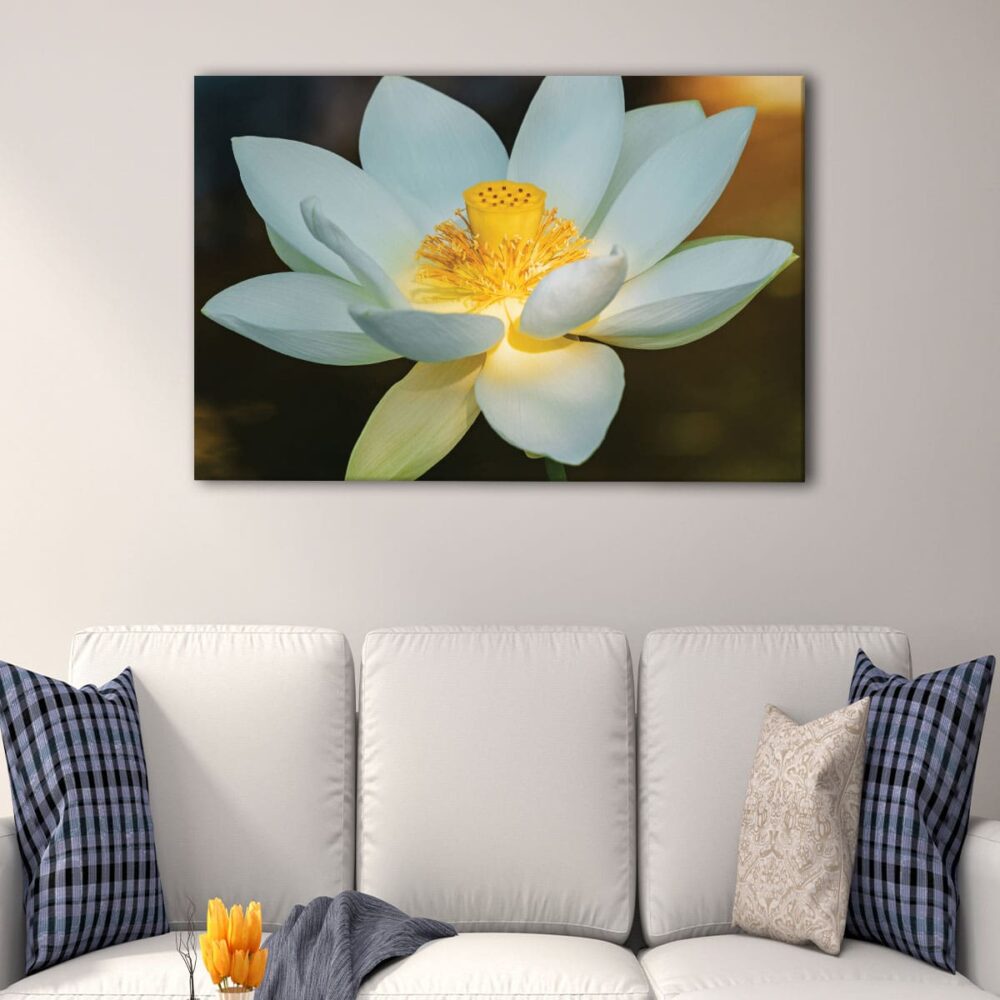 1 panels white lotus flower canvas art