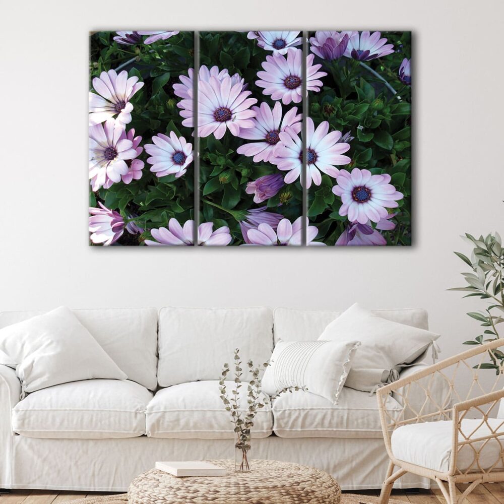 3 panels African Daisies flowers canvas art