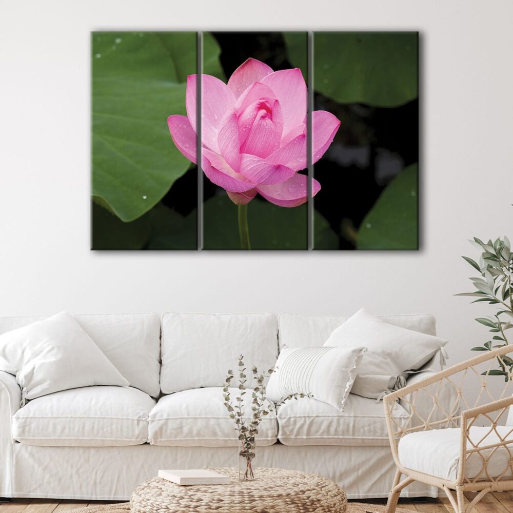 3 panels pink lotus canvas art