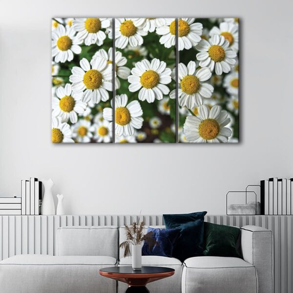 3 panels white daisy flowers canvas art