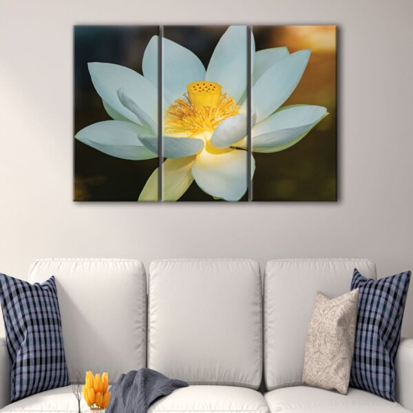 3 panels white lotus flower canvas art