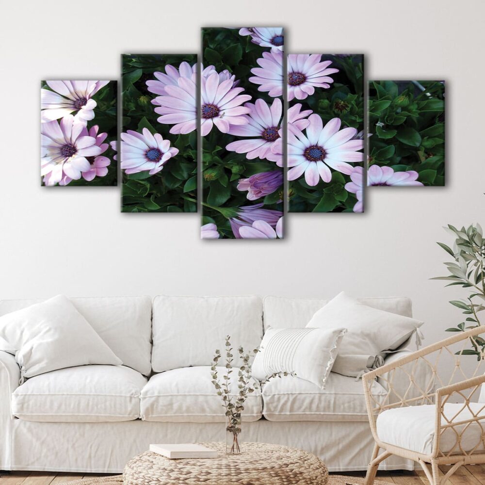 5 panels African Daisies flowers canvas art