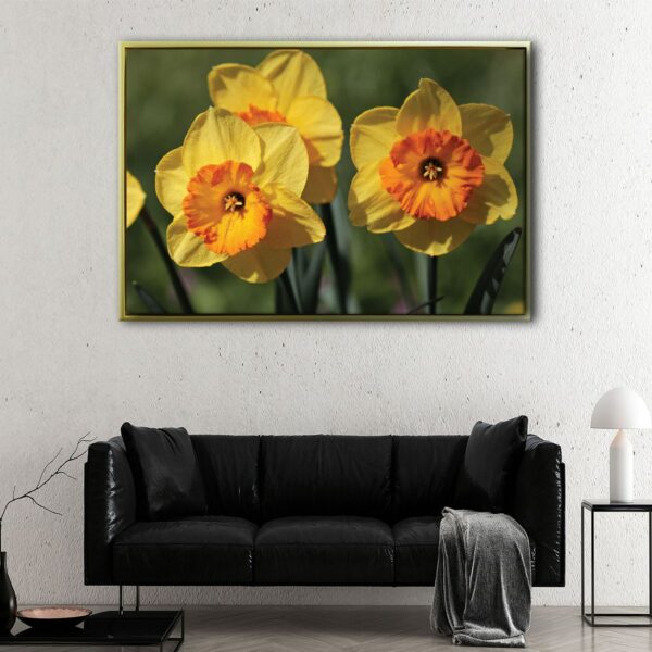 Daffodil flowers floating frame canvas
