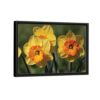 Daffodil flowers framed canvas black frame