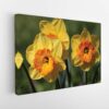 Daffodil flowers stretched canvas