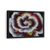 abstract flower framed canvas black frame