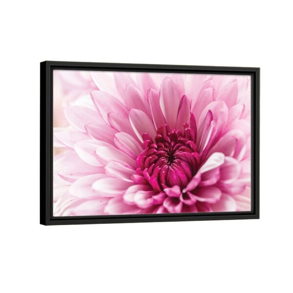 blooming dahlia flower framed canvas black frame