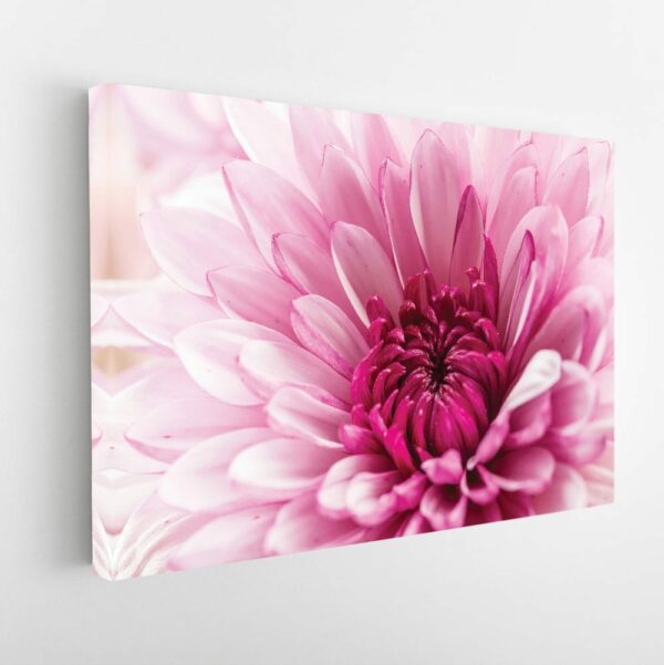 blooming dahlia flower stretched canvas