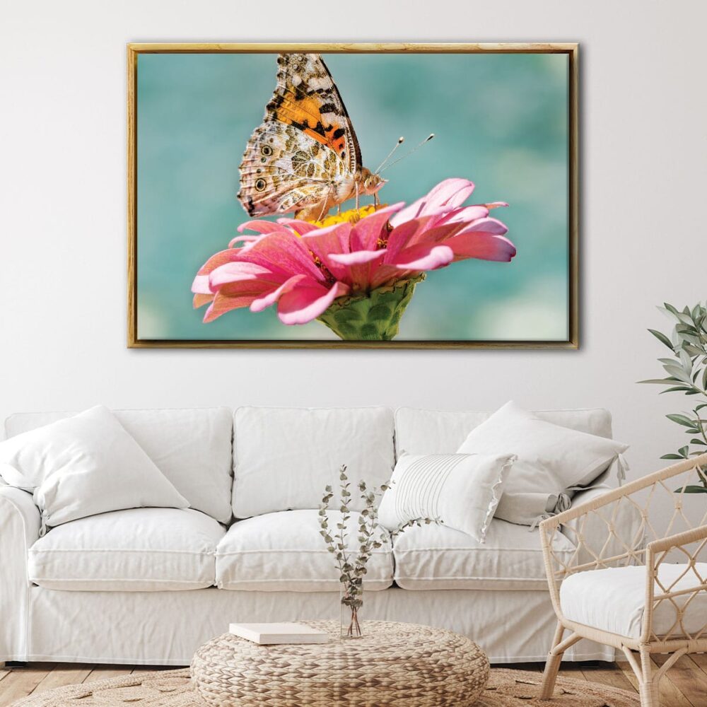 butterfly on flower floating frame canvas