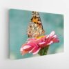 butterfly on flower stretched canvas