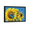 butterfly on sunflower framed canvas black frame