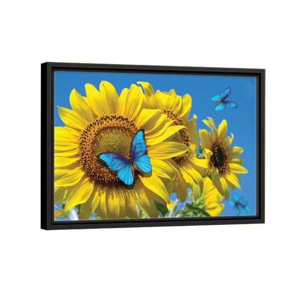 butterfly on sunflower framed canvas black frame