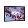 cherry blossom flower framed canvas black frame