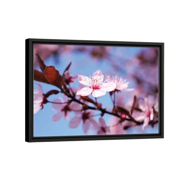 cherry blossom flower framed canvas black frame