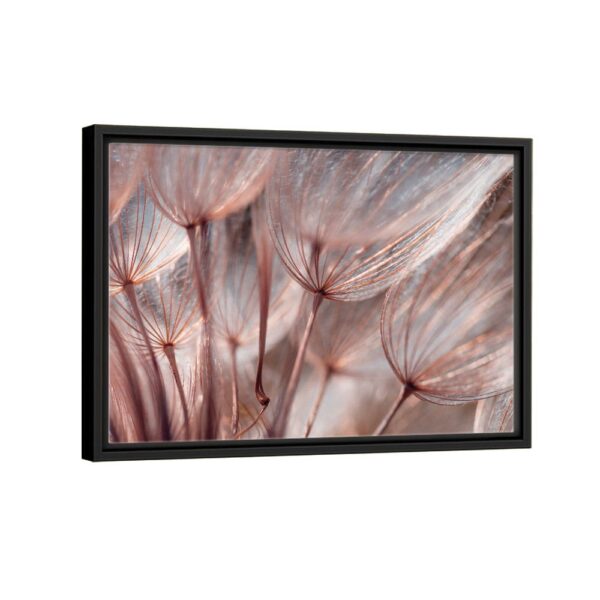 dandelion flowers framed canvas black frame